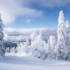 Сезонные товары